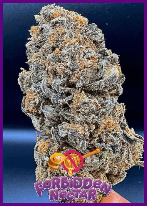Forbidden Nectar's flowers are beautiful, with purple tones and a dense layer of resin