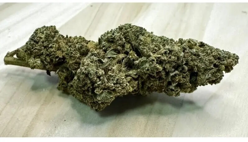 Cannaberry Greenhouse by Nature Technologie CBD will conquer you with its berry flavor