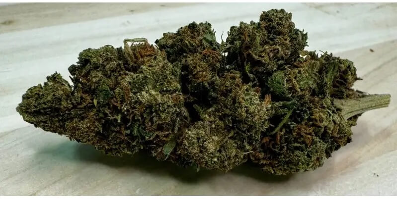 NY Diesel Greenhouse by Nature Technologie CBD has similar characteristics to the mythical New York City Diesel