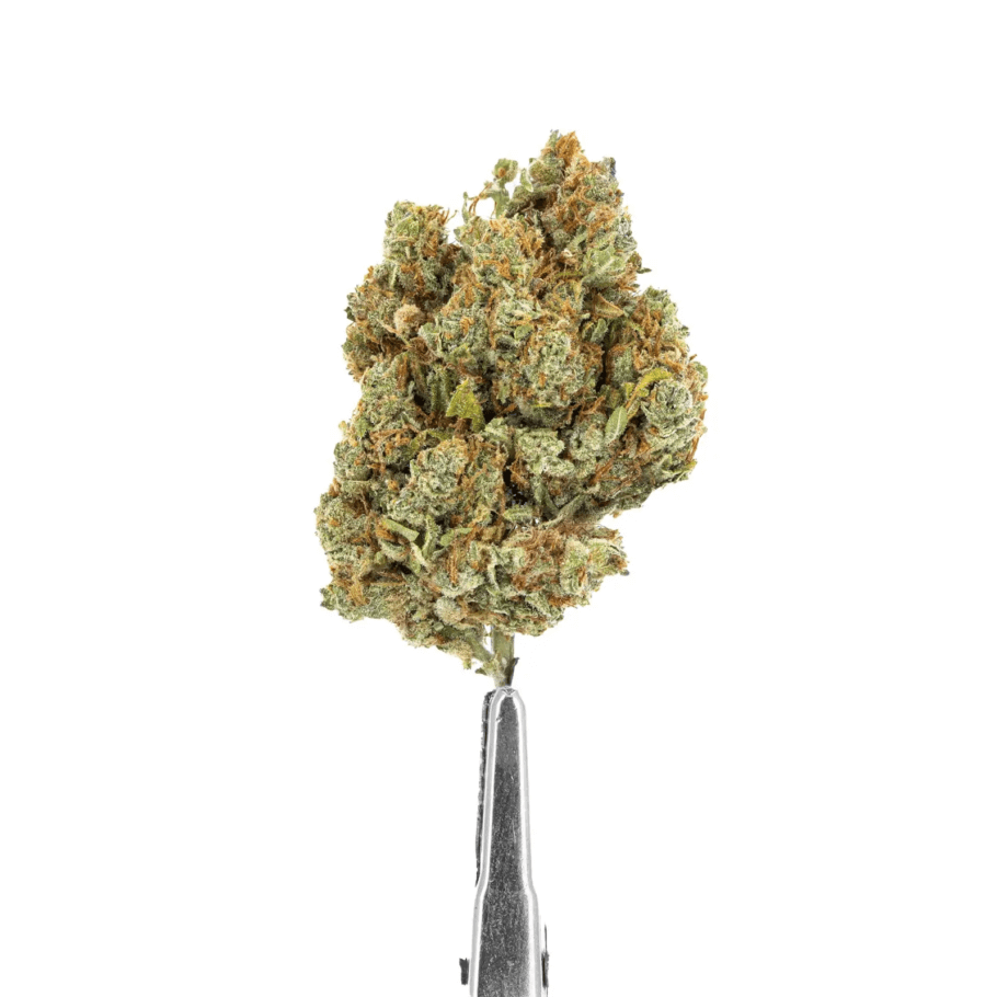 The CBD-rich buds of Amnesia 2.0 from Deli Hemp stand out for the typical lemony and citrus aroma of Amnesia genetics