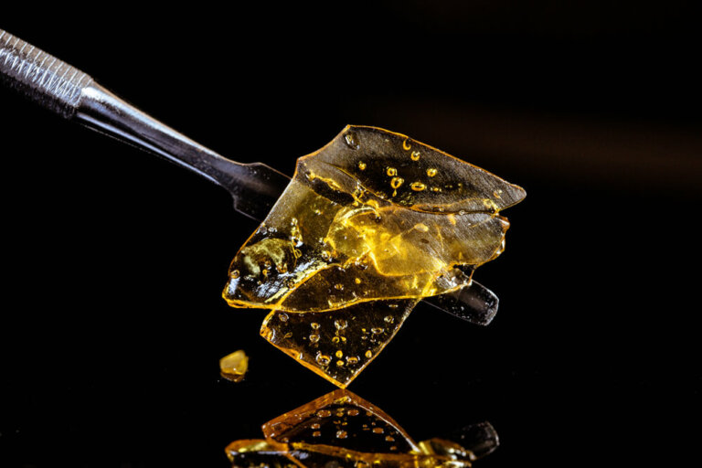 Cannabis extractions: laboratory protocols