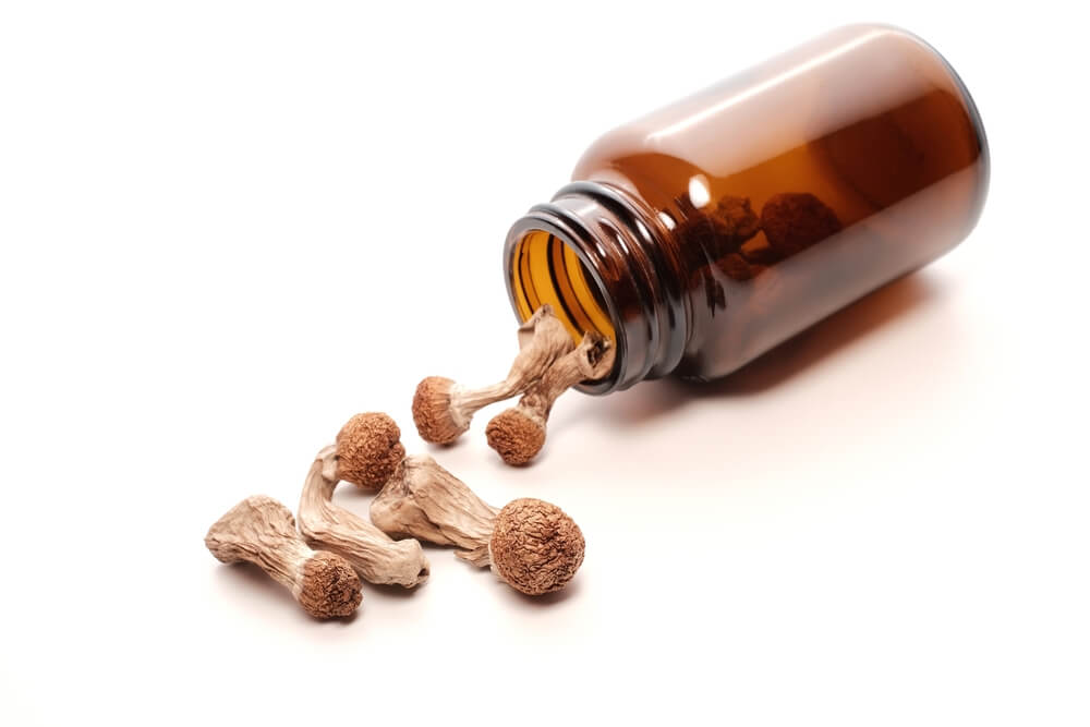  In general, it is best not to mix mushrooms with stimulants or opiates