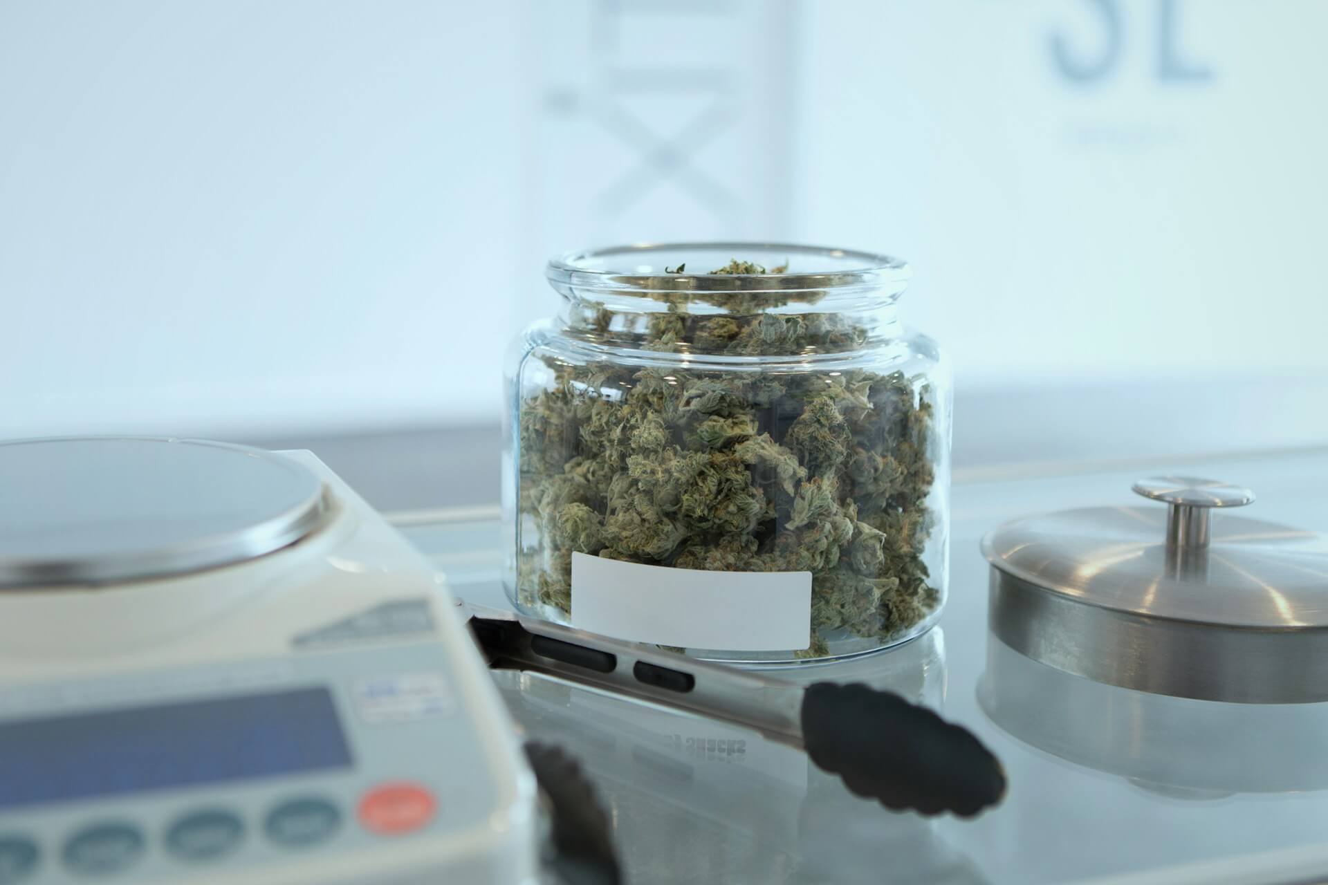 If you grow your flowers, you can forget about going to dispensaries or the black market