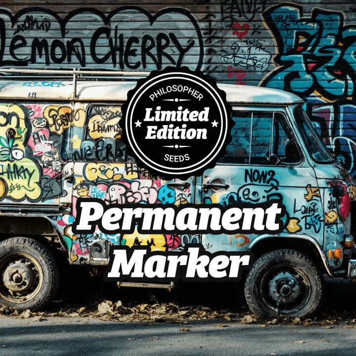 Permanent Marker is a strain with exceptional flavour and extraordinary potency