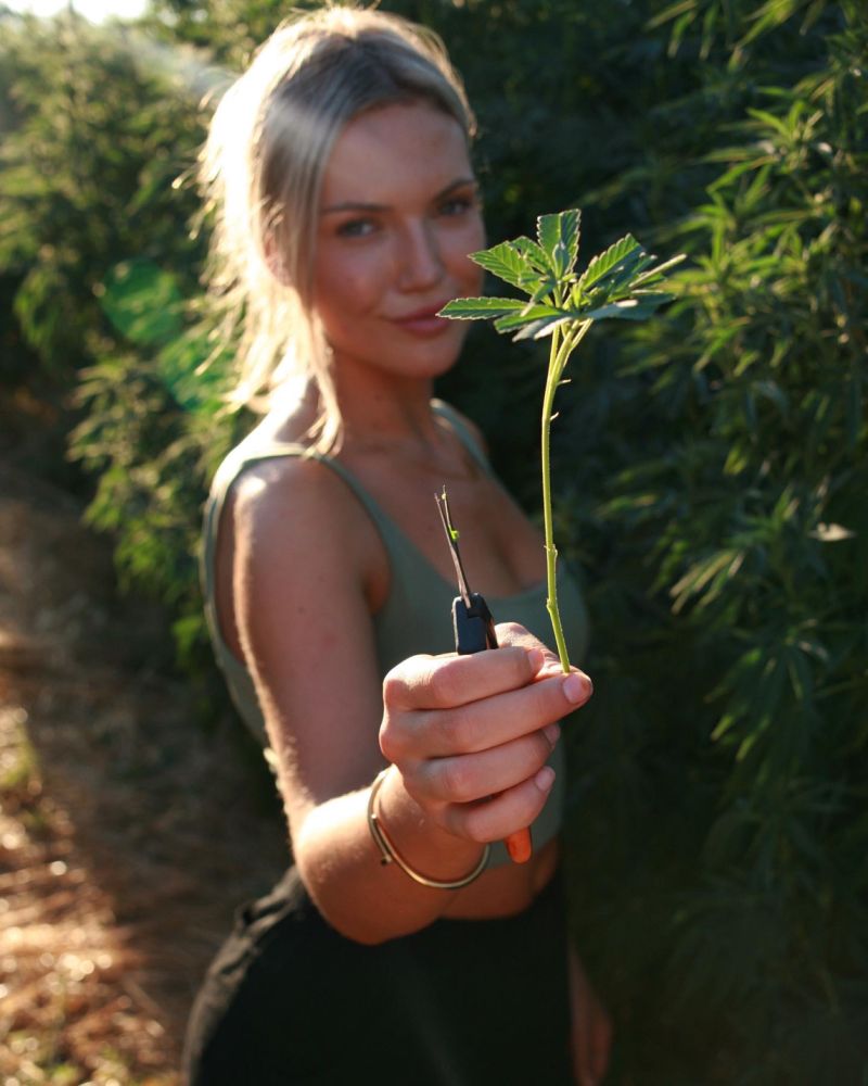 Halle is the Product Manager at Humboldt Seed Company, and perfectly represents the spirit of the Emerald Triangle