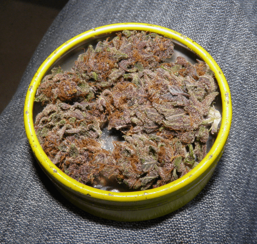 Purple weed buds