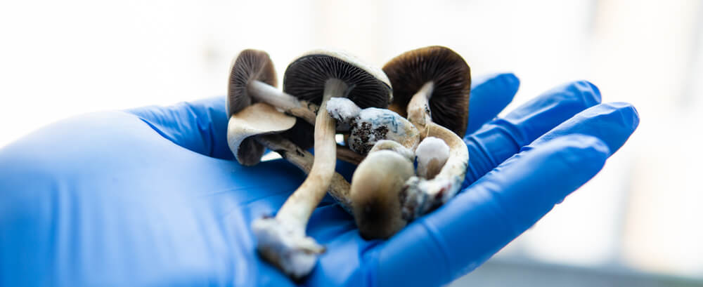 Germany leads the way toward responsible and compassionate use of psilocybin