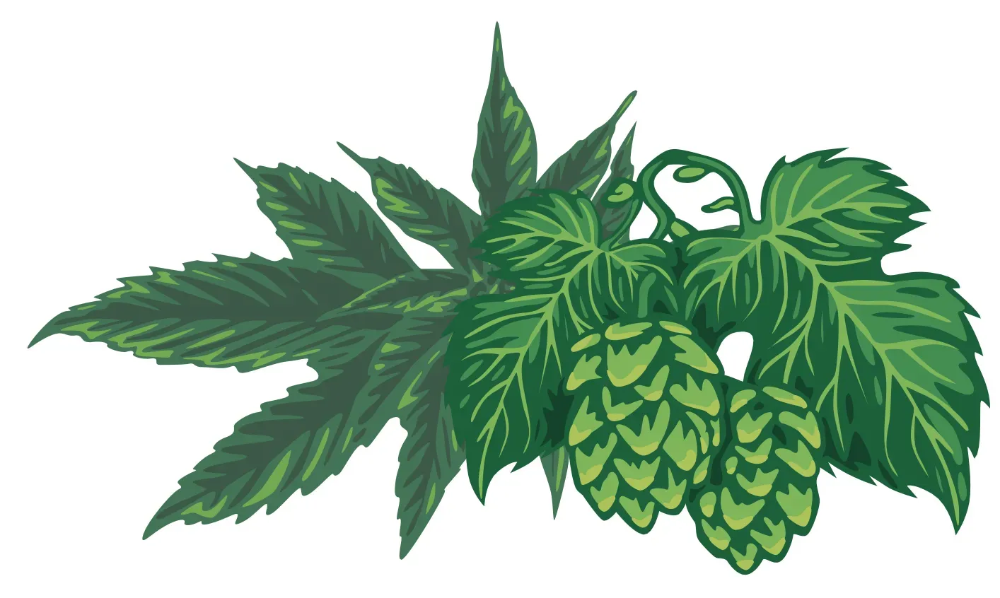 HpLVd: The most feared viroid in cannabis cultivation and how to protect your clones