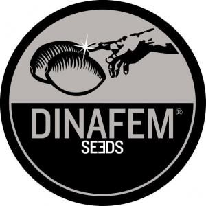 dinafem-seeds
