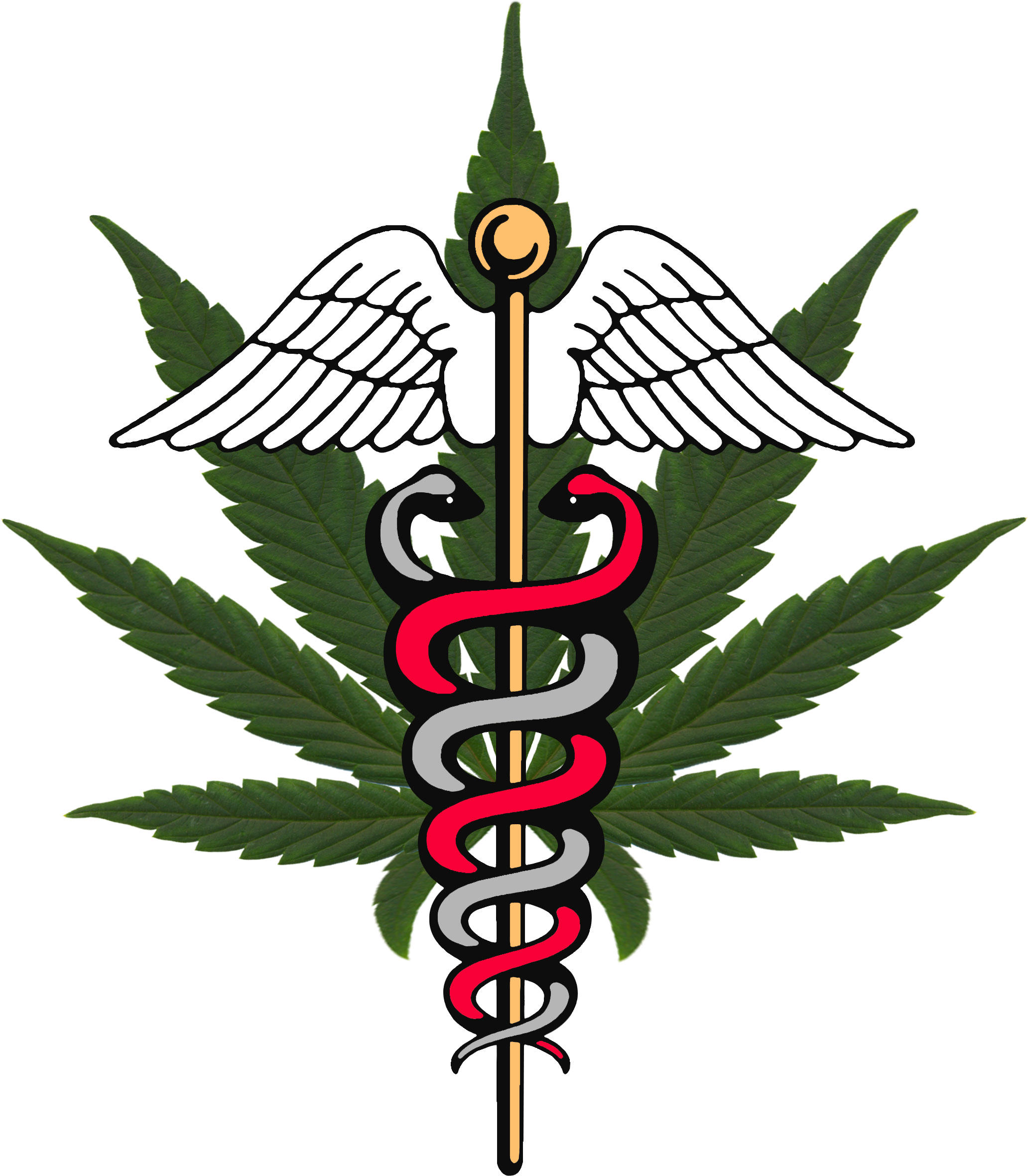 le-cannabis-medical