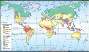 culture-cannabis-latitude