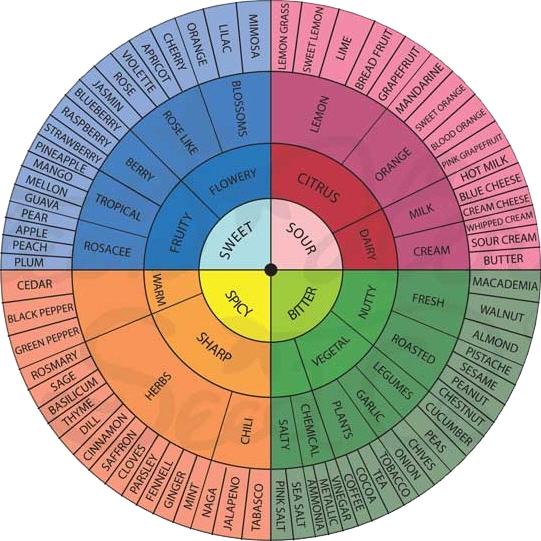 Terpènes et modulation des effets du cannabis