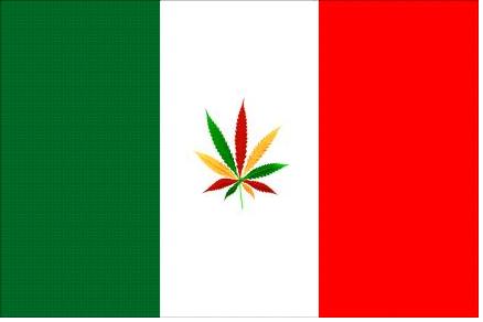 Le premier Cannabis Social Club d'Italie bientôt créé