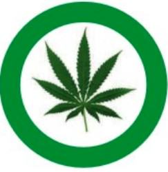 Légalisation du Cannabis