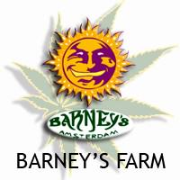 Barney's Farm