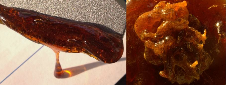 BHO, huile de cannabis