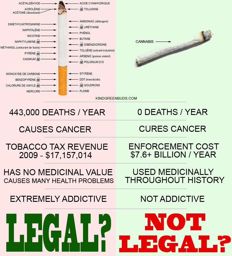 La cigarette contient de nombreux additifs chimiques toxiques, contrairement à la marijuana