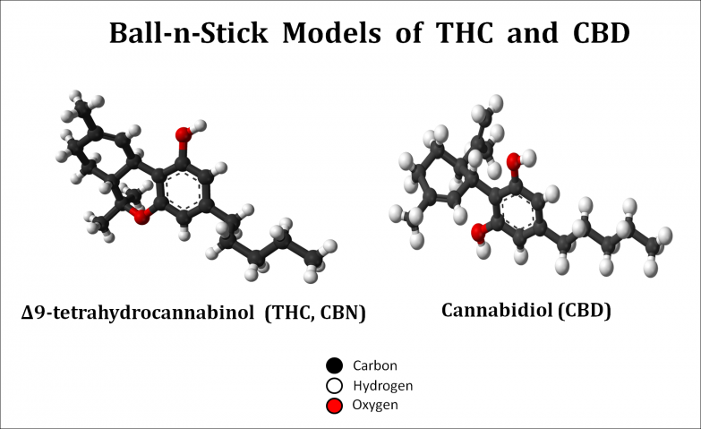 Cannabinoïdes THC et CBD