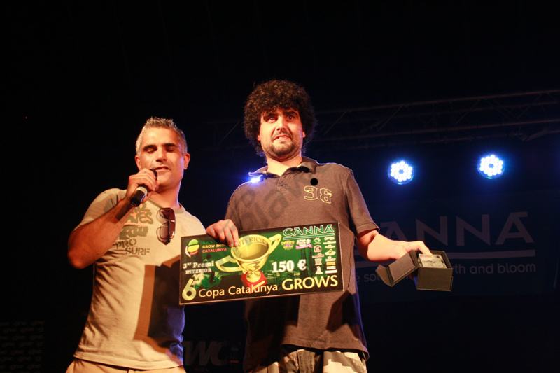 Intérieur amateur: 3º: Toni Cucas avec Sweet Love (Juanita x Somango) pour Alchimia Grow Shop