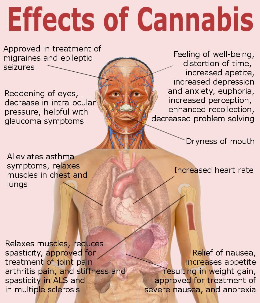 Effets du cannabis