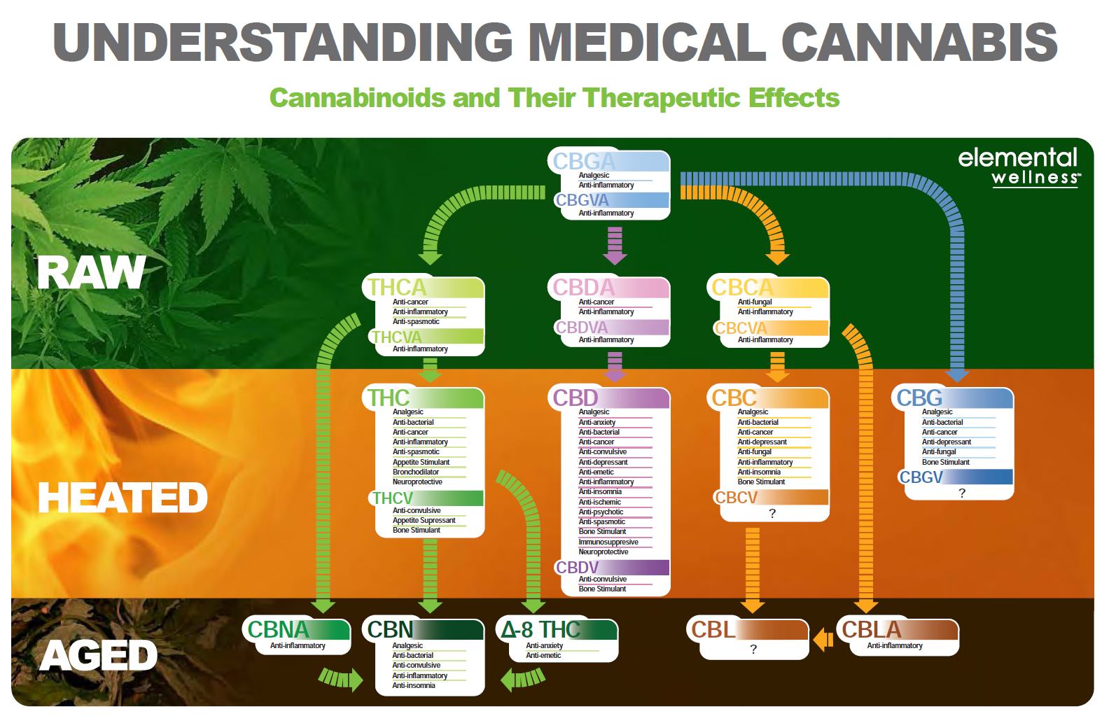 Propriétés médicales des cannabinoïdes