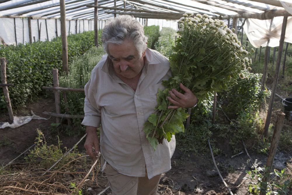 Jose Mujica, Président de l'Uruguay