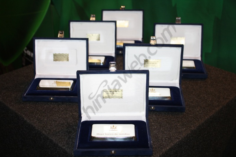 Plaques officielles des prix de la Cannabis Champions Cup