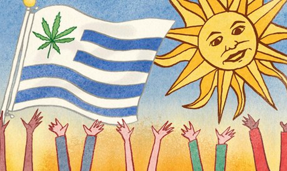 Uruguay, premier pays au monde à avoir légalisé le cannabis