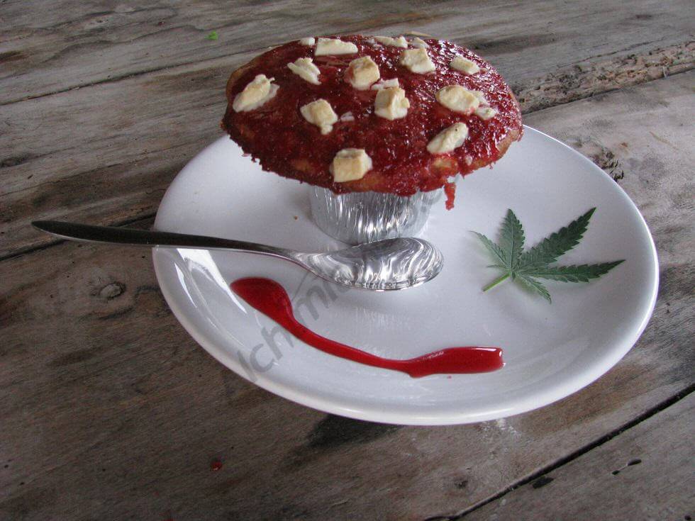 Notre gâteau champignon au cannabis est prêt!