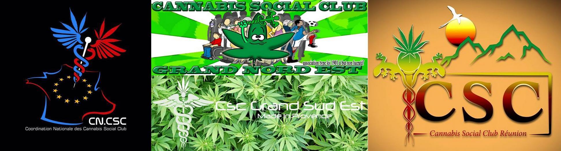 Coordination Nationale des Cannabis Social Clubs
