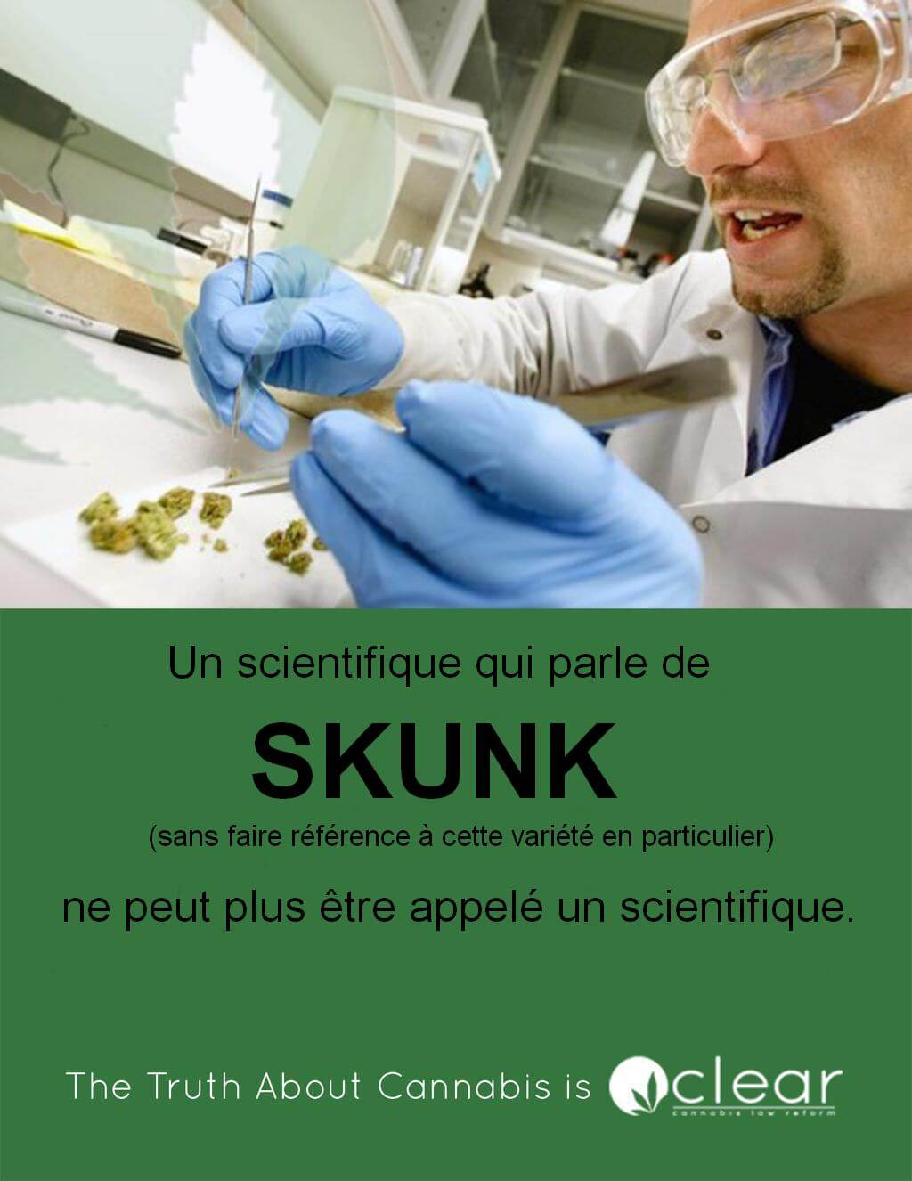 La Skunk a fait ces dernières semaines les gros titres des journaux sensationnalistes 