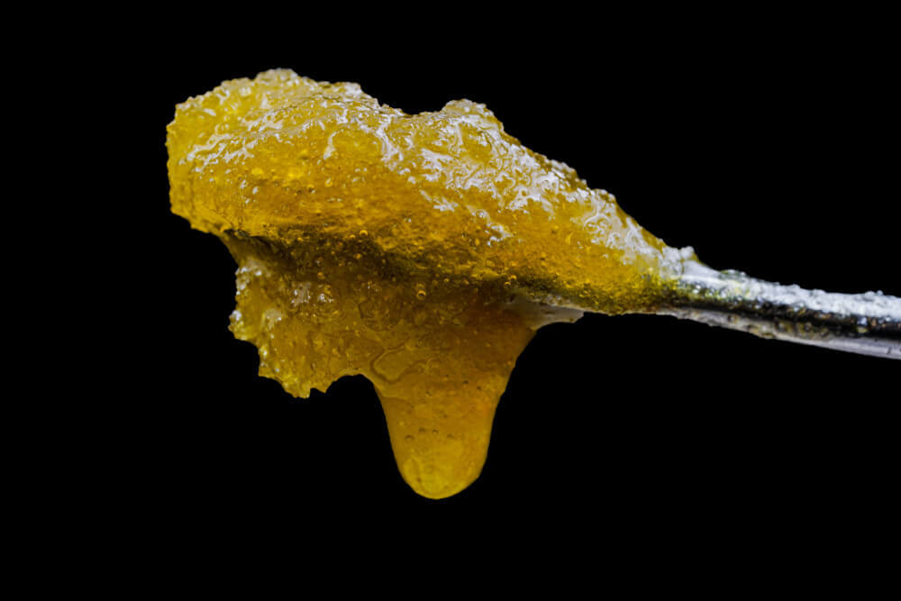 710 est synonyme de célébration autour de tout ce qui touche à l'extraction de résine.