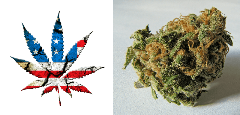 Les USA légalisent progressivement le cannabis