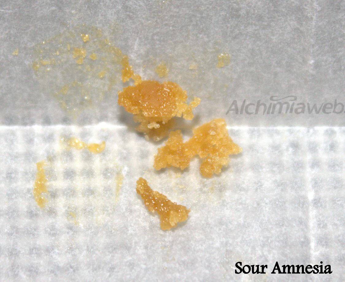 Sour Amnesia de 710 Crew