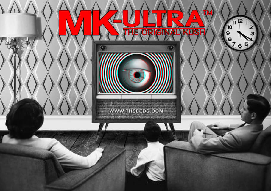 MK-Ultra, l’une des Indicas les plus puissantes.
