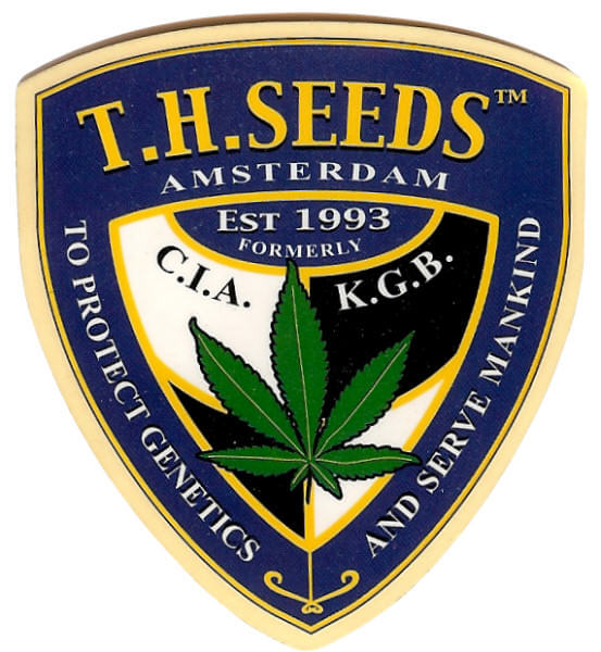 TH Seeds, graines de cannabis depuis 1993