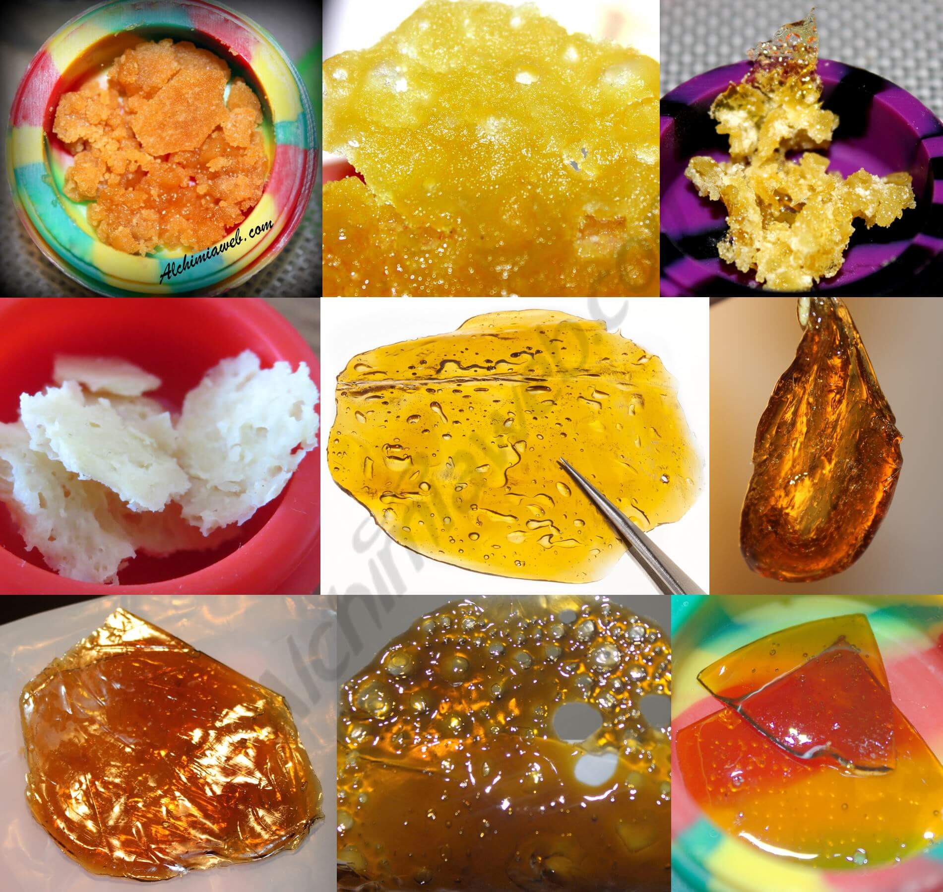 Différentes textures et couleurs d'huile de cannabis BHO