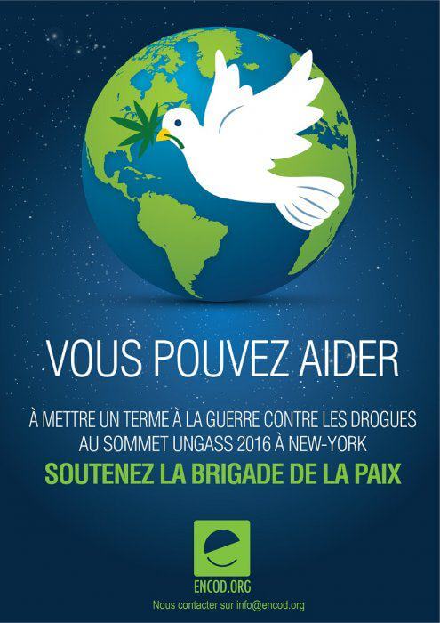Brigade de la paix ? ENCOD