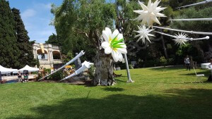 La grosse fleur du jardin