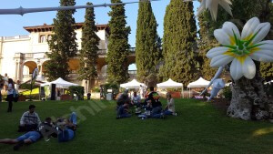 Détente dans l'herbe