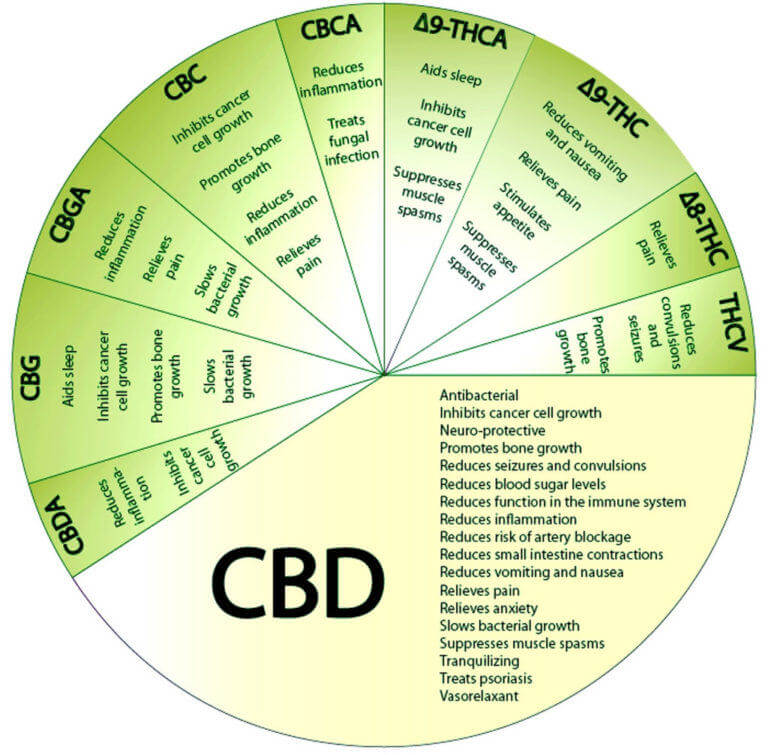 Les propriétés médicales du CBD