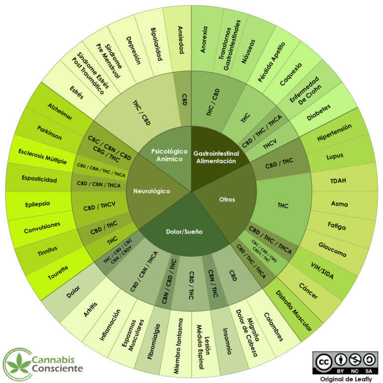 Cannabinoïdes et leurs applications thérapeutiques (Source Cannabisconsciente.com)