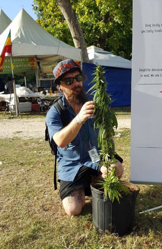 Exposition de plantes au Stepping High Ganja Festival