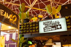 Visite des stands de la Spannabis