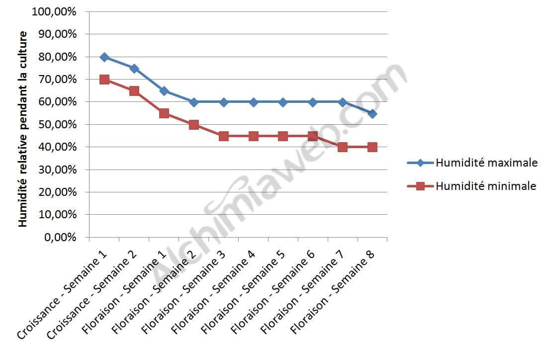 Taux d'humidité idéal selon le stade de culture du cannabis