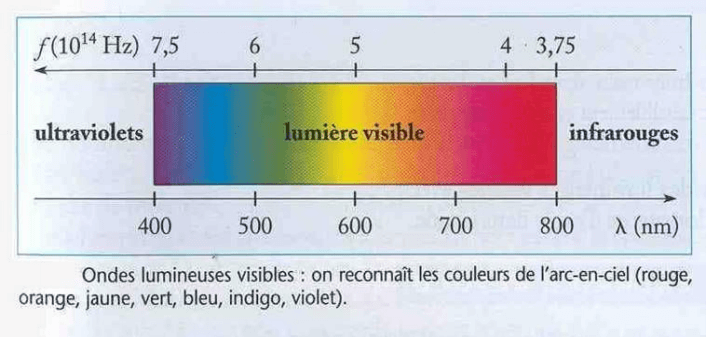 Le spectre Lumineux visible par un oeil humain. Source : Wikimedia Commons
