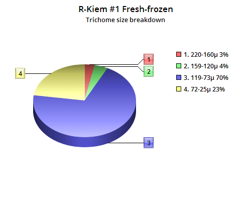 Répartition des tailles de trichomes du Fresh Frozen de R-Kiem #1