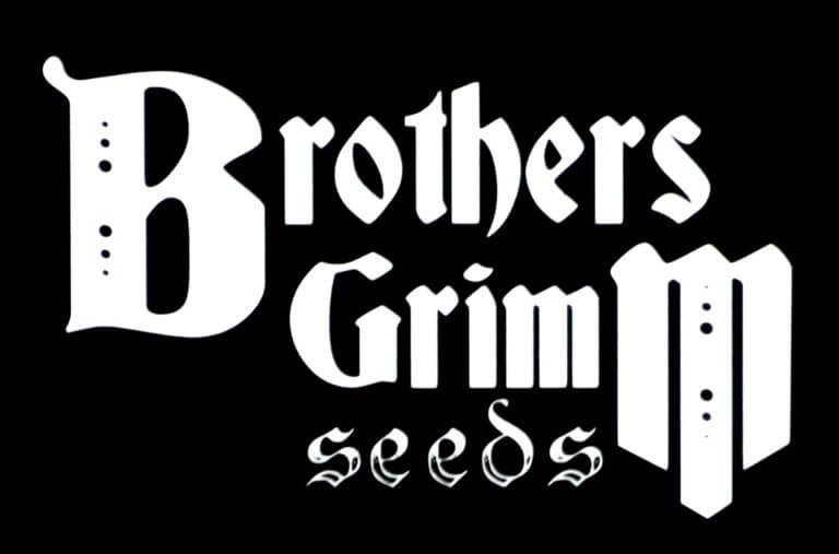 Histoire de Brothers Grimm Seeds et interview de MrSoul