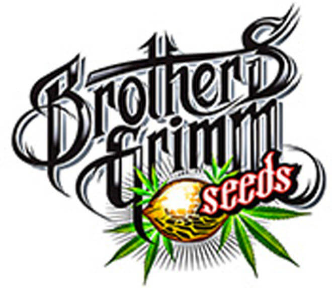 Histoire de Brothers Grimm Seeds et interview de MrSoul