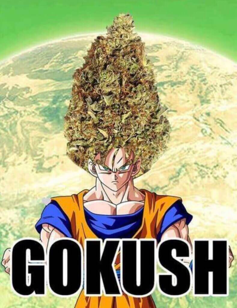 Super Saian Gokush 